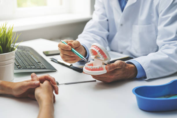 Professional  Holistic Dental Services in Centerville, MN